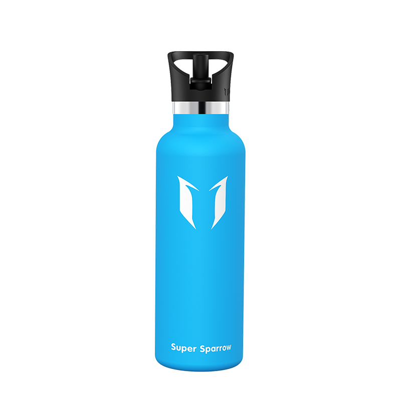 Ultraleichte Edelstahl-Wasserflasche mit Strohdeckel, 25OZ / 750ML