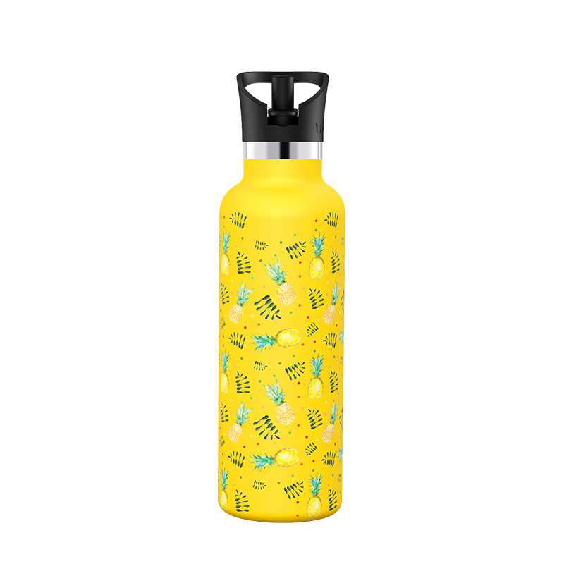 Super Sparrow 750ML To-Go Stainless Steel Water Bottle, Cherry Blossoms